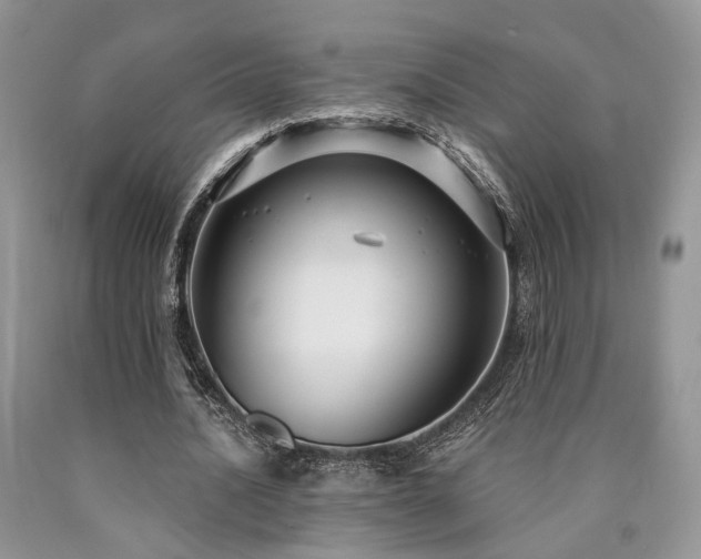 X0000090770628200707201439