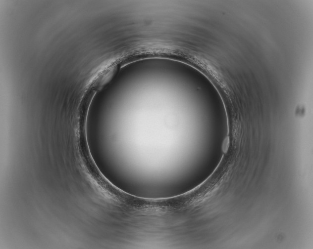 X0000090770629200707201439