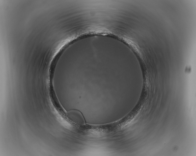 X0000090770630200707201439