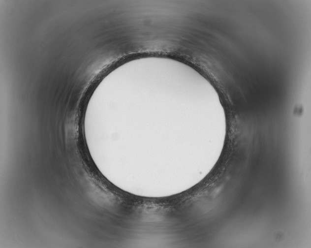 X0000090770632200707201439