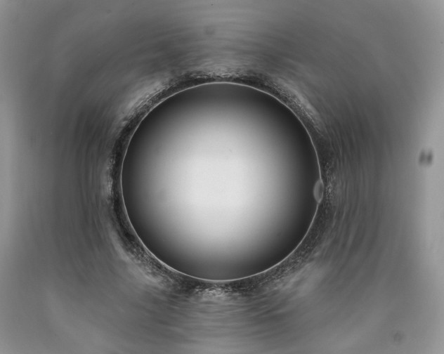 X0000090770635200707201439