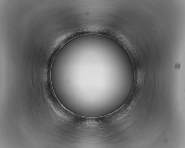 X0000090770636200707201439