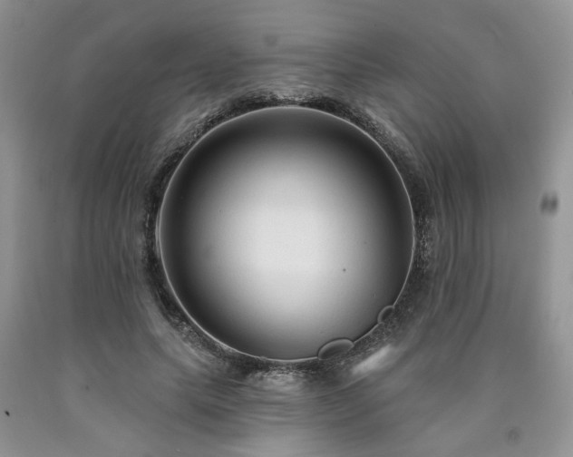 X0000090770639200707201439