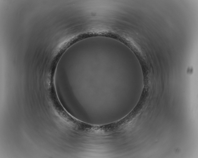 X0000090770640200707201439