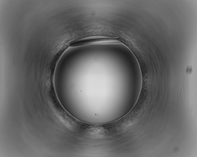 X0000090770642200707201439