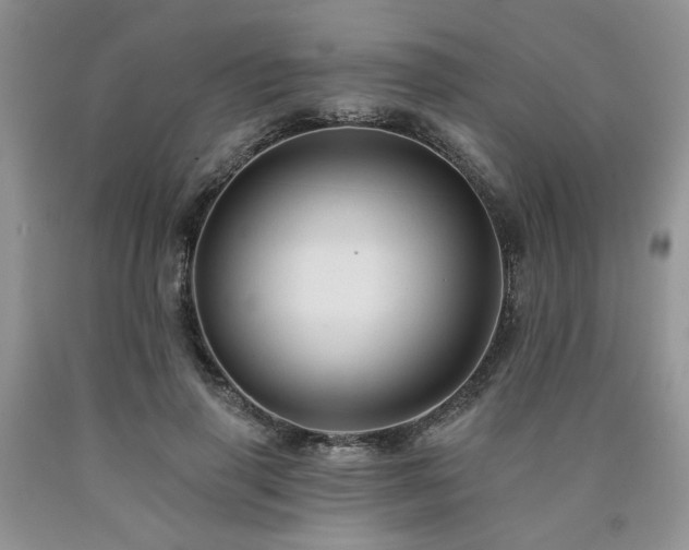 X0000090770645200707201439