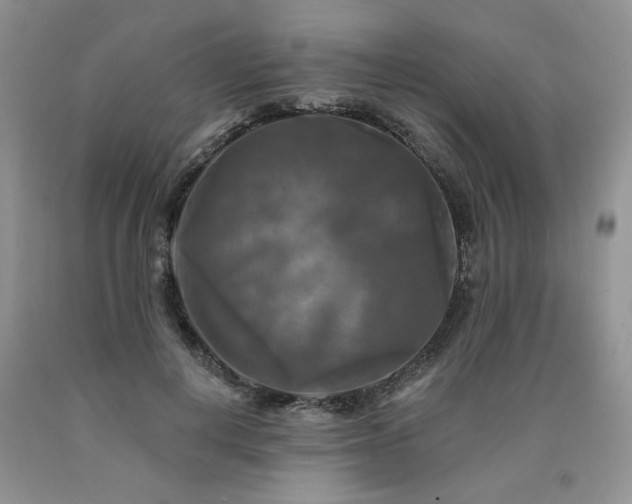 X0000090770648200707201439