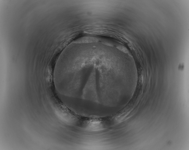 X0000090770651200707201439