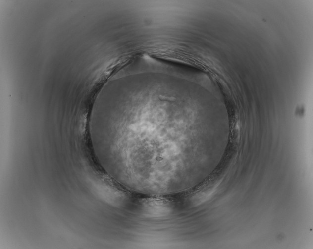 X0000090770652200707201439