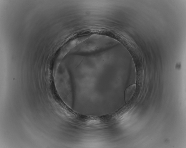 X0000090770653200707201439