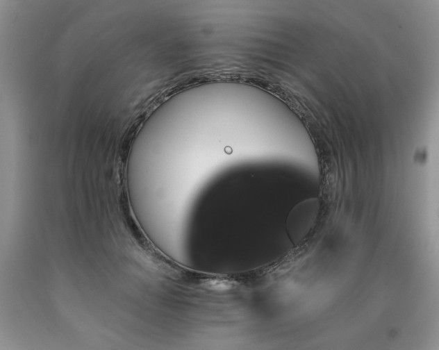 X0000090770654200707201439