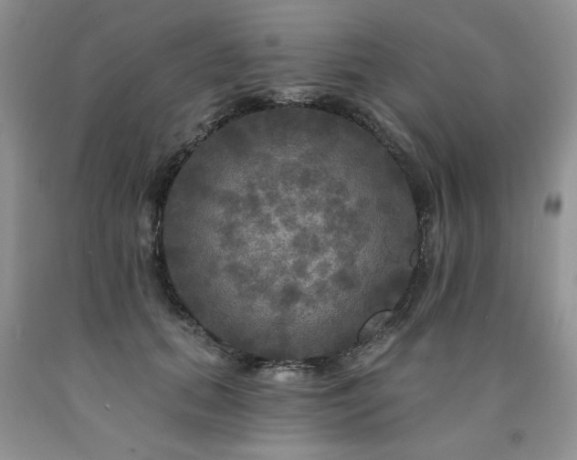 X0000090770655200707201439