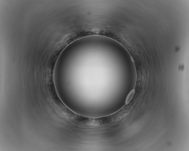X0000090770656200707201439