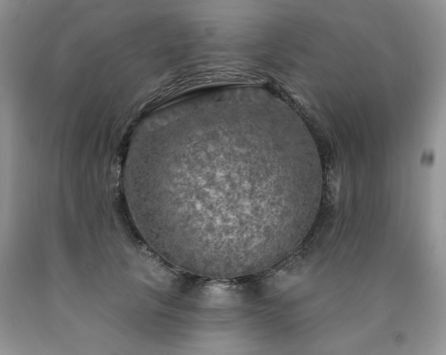 X0000090770657200707201439
