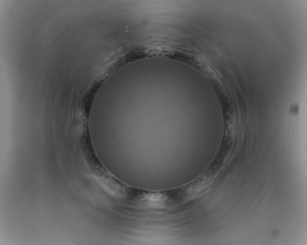 X0000090770659200707201439