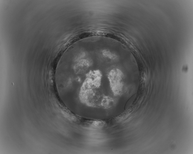 X0000090770663200707201439