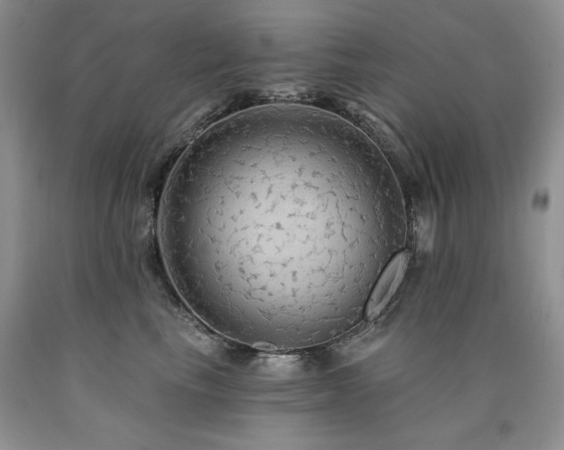 X0000090770665200707201439