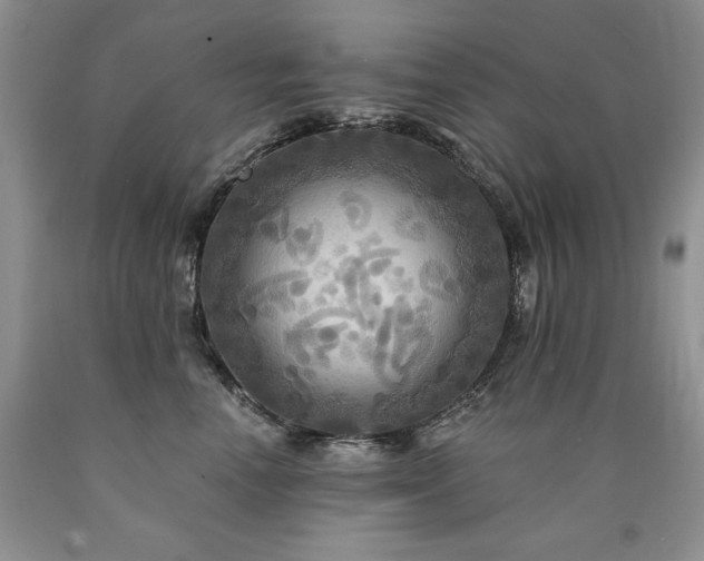 X0000090770666200707201439
