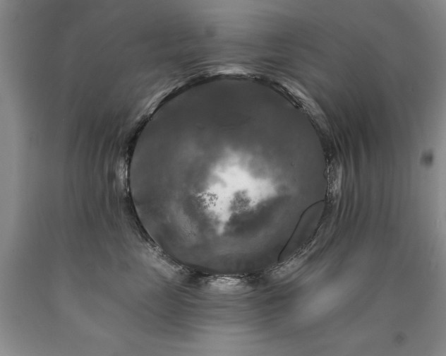 X0000090770669200707201439