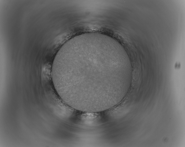 X0000090770672200707201439