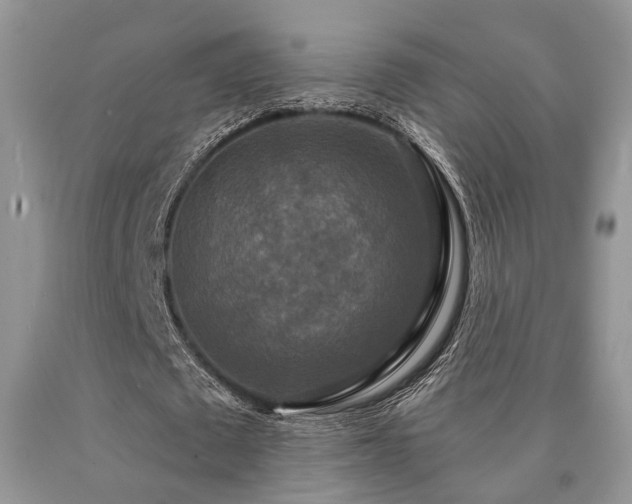 X0000090770673200707201439