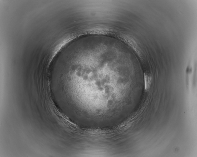 X0000090770675200707201439