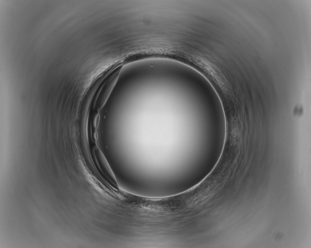 X0000090770677200707201439