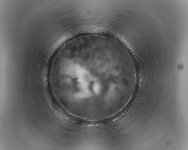 X0000090770679200707201439