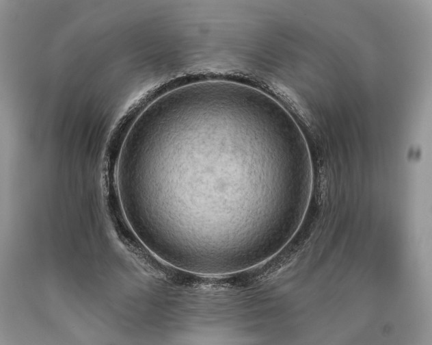 X0000090770680200707201439