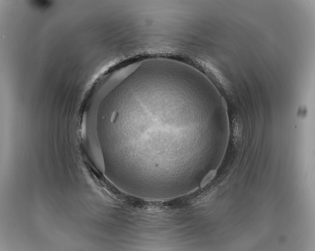 X0000090770684200707201439