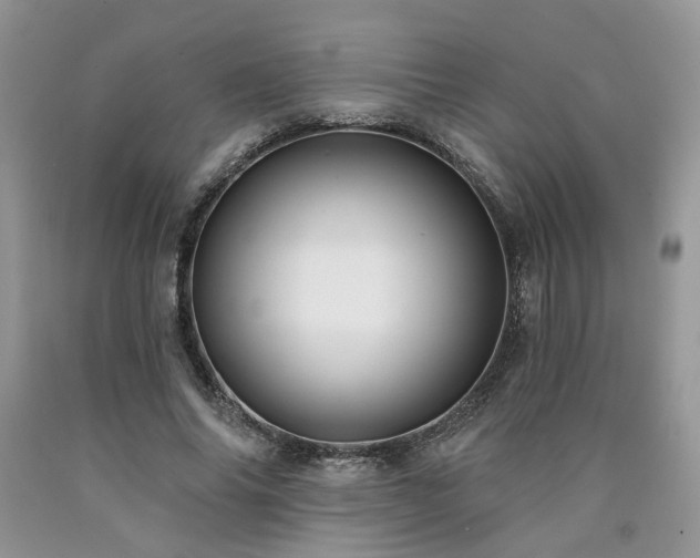 X0000090770686200707201439