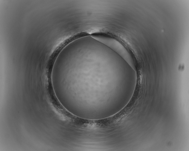 X0000090770688200707201439