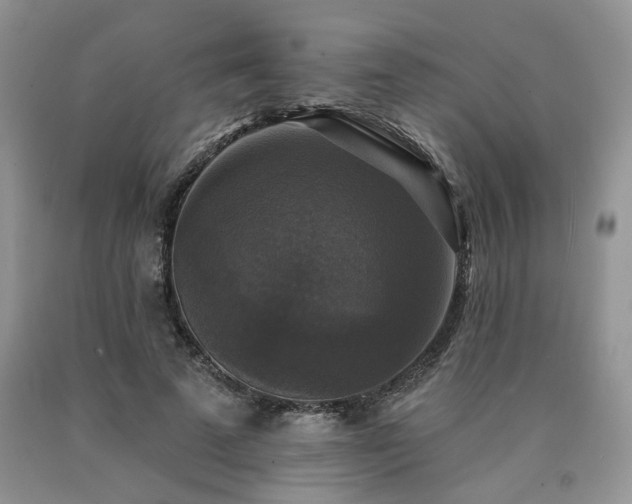 X0000090770689200707201439