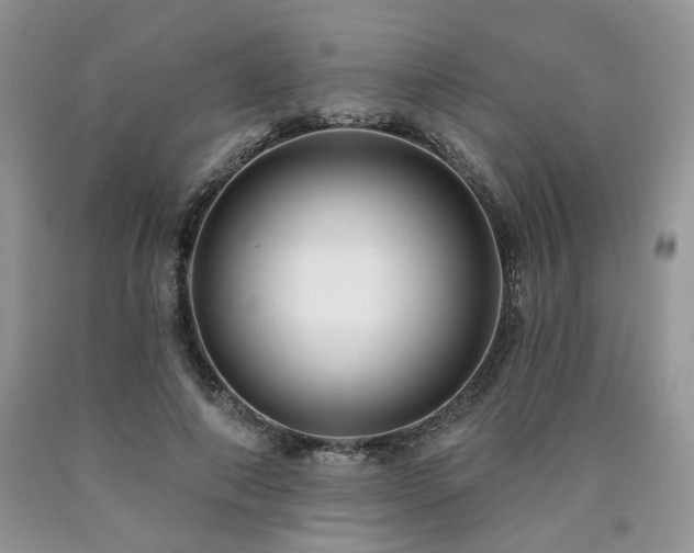 X0000090770690200707201439