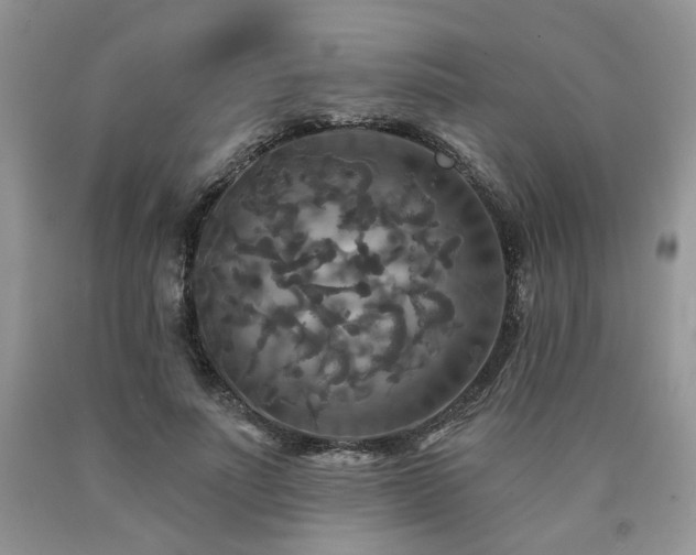 X0000090770691200707201439