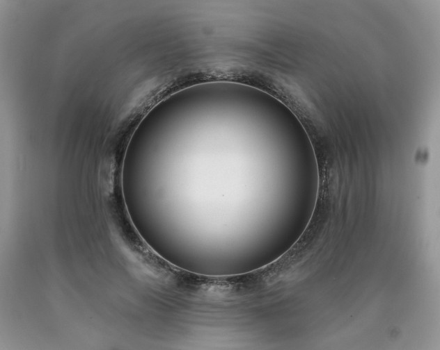 X0000090770694200707201439