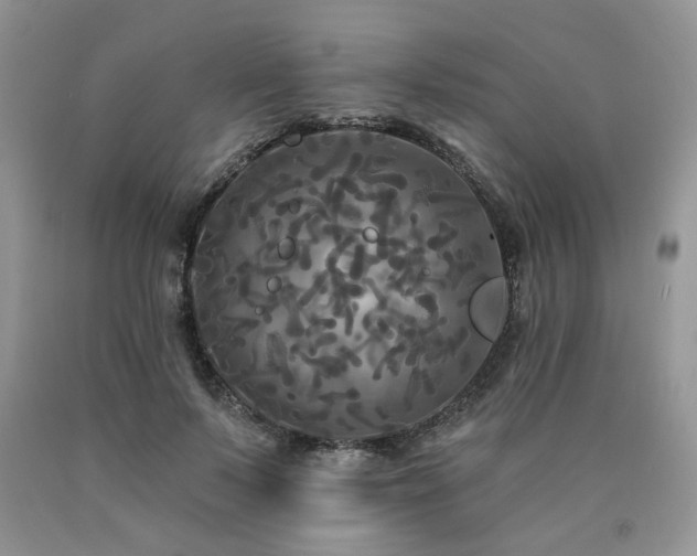 X0000090770695200707201439