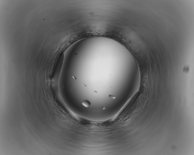 X0000090770697200707201439