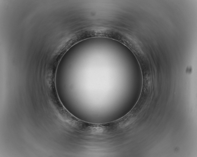 X0000090770698200707201439