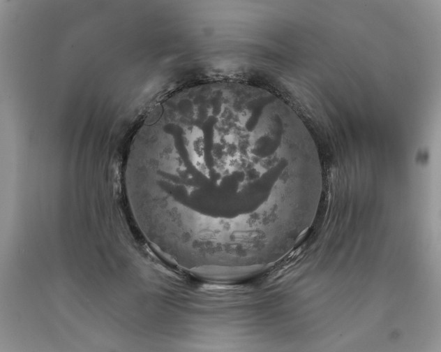X0000090770699200707201439