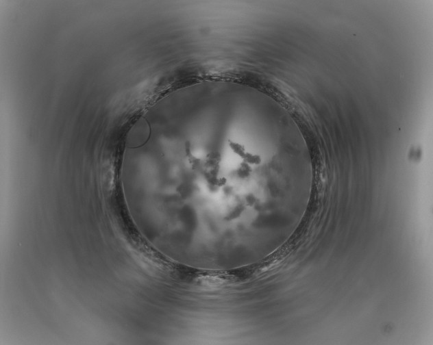 X0000090770703200707201439
