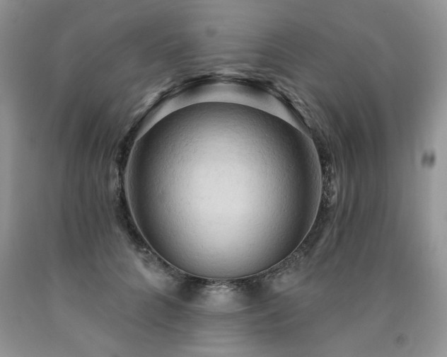 X0000090770704200707201438