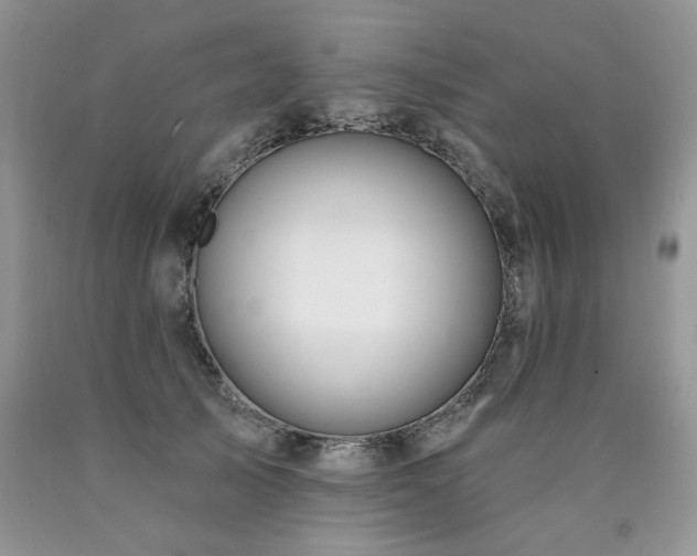 X0000090770705200707201438