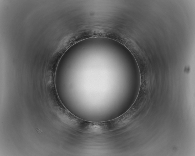 X0000090770706200707201438