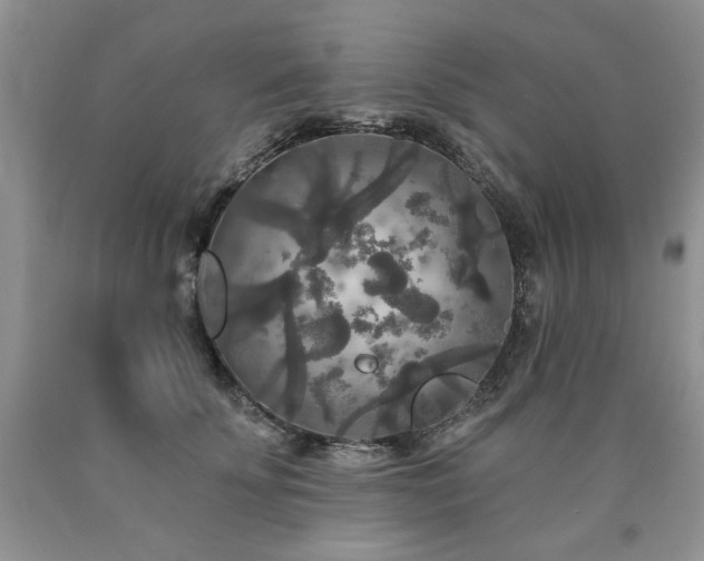 X0000090770707200707201438