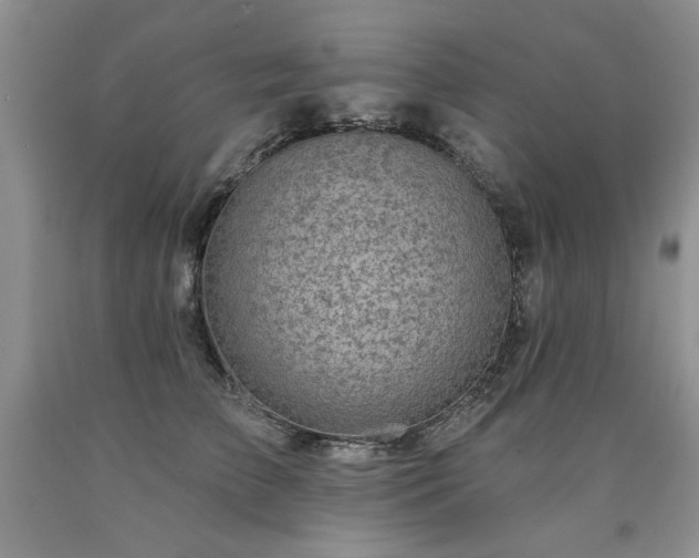 X0000090770709200707201438