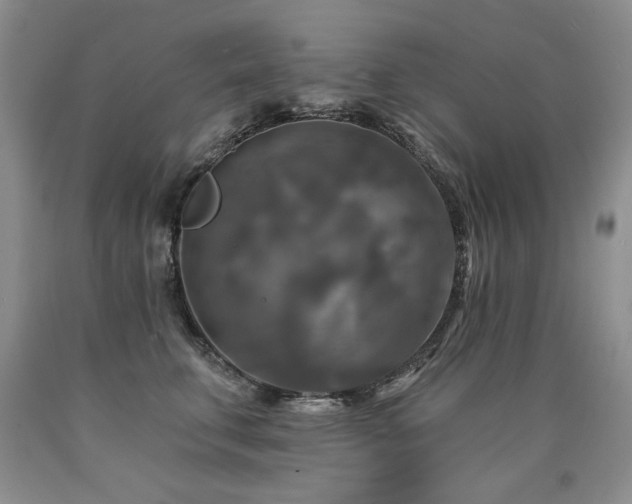X0000090770711200707201438