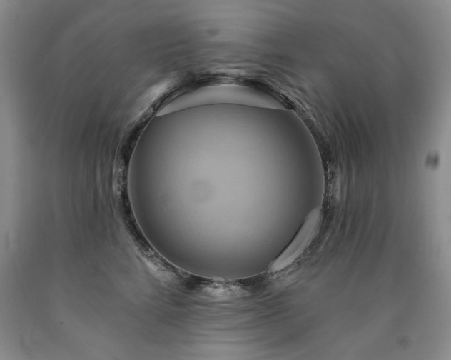 X0000090770712200707201438