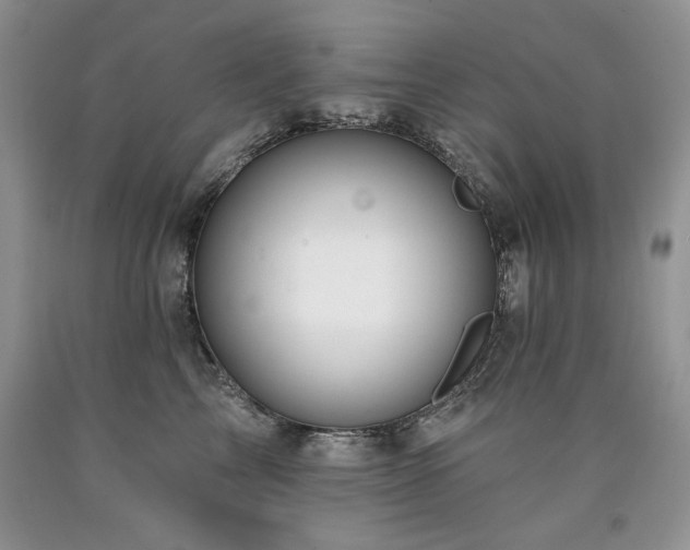X0000090770713200707201438