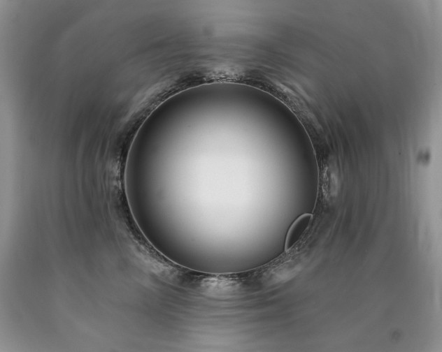 X0000090770714200707201438